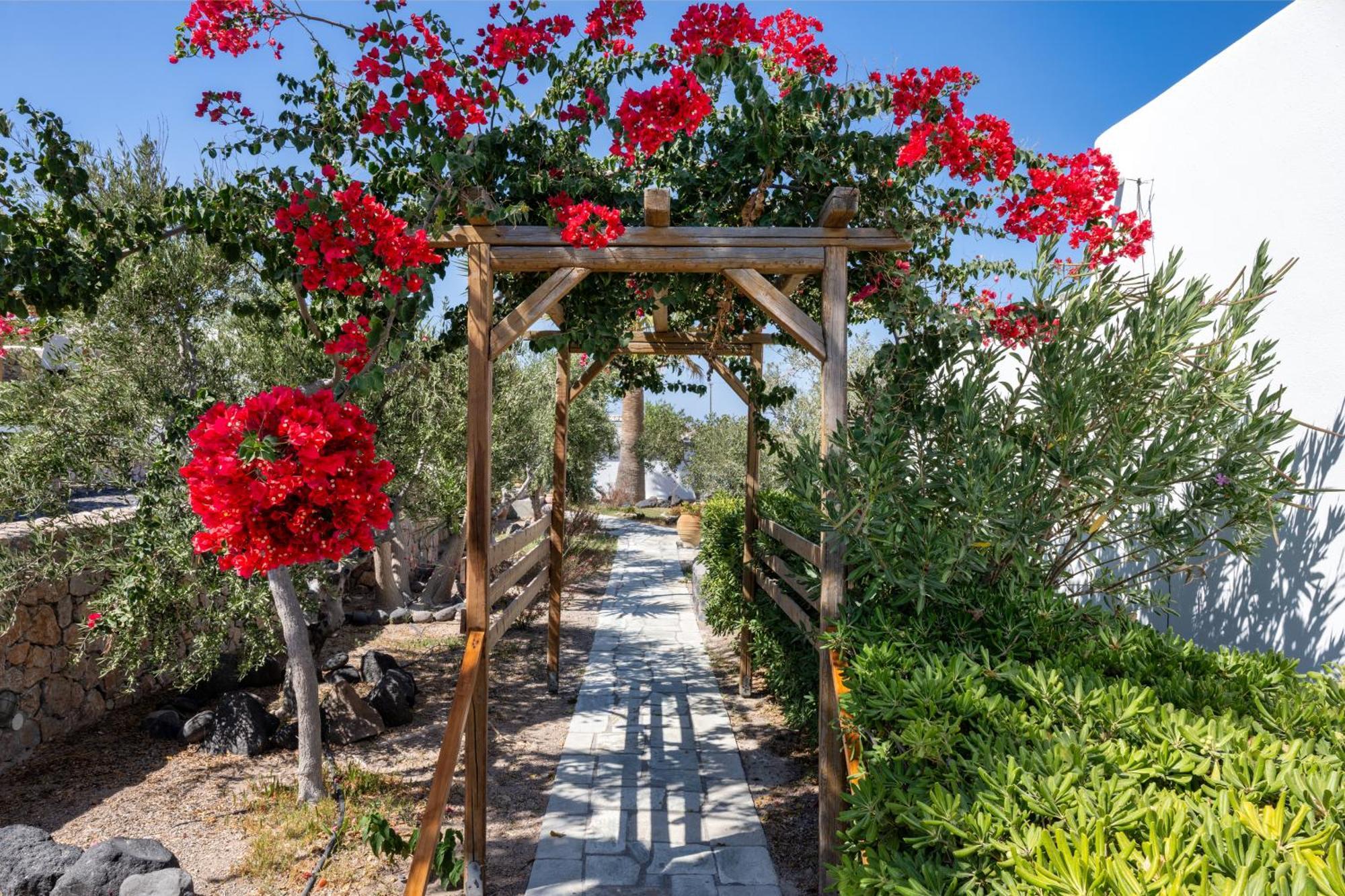 Anema Boutique Hotel & Villas Santorini Vourvoúlos Zewnętrze zdjęcie